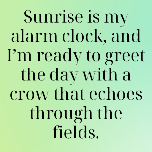 197+ Rooster Captions For Instagram In (2025) 3 Rooster Captions Image For Instagram In (2025)-T816nU