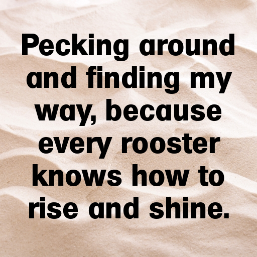 197+ Rooster Captions For Instagram In (2025) 8 Rooster Captions Photo For Instagram In (2025)-gA7irs