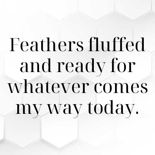 197+ Rooster Captions For Instagram In (2025) 5 Rooster Captions Photo For Instagram In (2025)-MICLkz