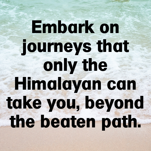 Royal Enfield Himalayan Captions Photo for Instagram In (2025)-mQZjmb