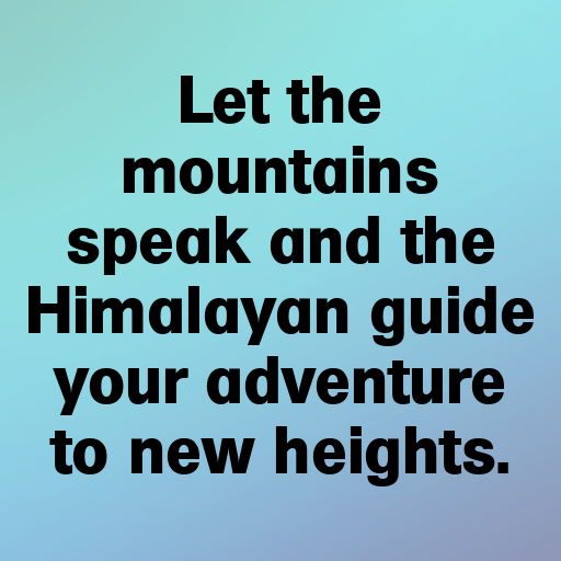 Royal Enfield Himalayan Captions Photo for Instagram In (2025)-qDFSeq