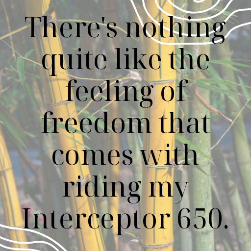 178+ Royal Enfield Interceptor 650 Captions for Instagram In 2025 6 Royal Enfield Interceptor 650 Captions Image for Instagram In 2025-6PuJPO