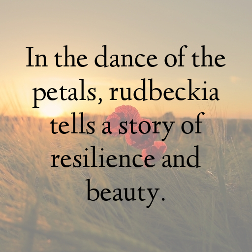 Rudbeckia Captions Image For Instagram In 2025-2E54Tf