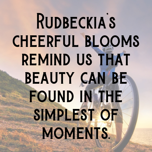 Rudbeckia Captions Image For Instagram In 2025-rydrxs