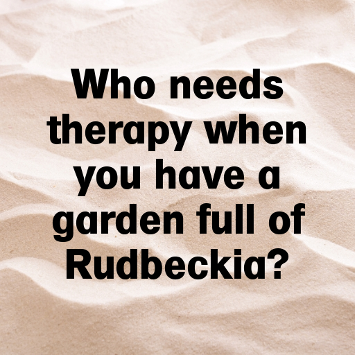 Rudbeckia Captions Photo For Instagram In 2025-cfNKzz