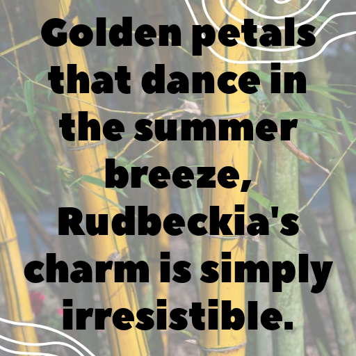 Rudbeckia Captions Photo For Instagram In 2025-f3mHz3