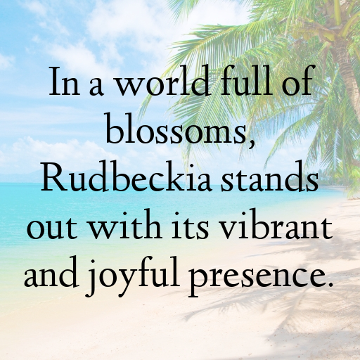 Rudbeckia Captions Photo For Instagram In 2025-OWIYKf