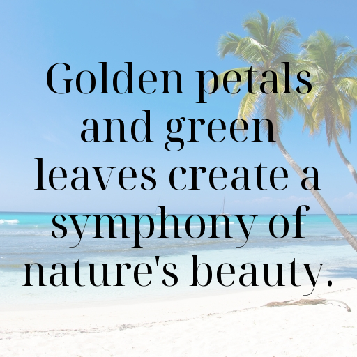 Rudbeckia Captions Photo For Instagram In 2025-PfSNa6