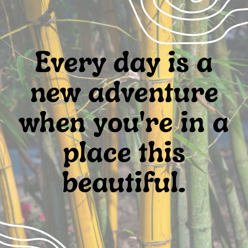 196+ Saint Kitts and Nevis Captions For Instagram In 2025 6 Saint Kitts and Nevis Captions Image For Instagram In 2025-7Ltiok