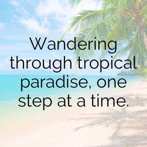 196+ Saint Kitts and Nevis Captions For Instagram In 2025 5 Saint Kitts and Nevis Captions Image For Instagram In 2025-boIzyd