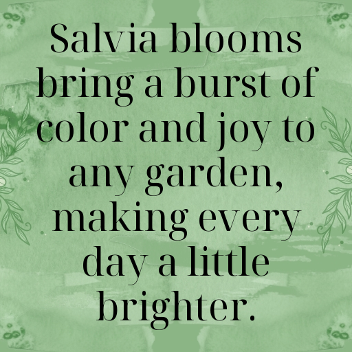 163+ Salvia Captions For Instagram In (2025) 6 Salvia Captions Image For Instagram In (2025)-1t6xIM