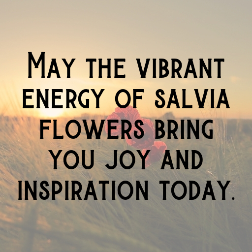 163+ Salvia Captions For Instagram In (2025) 8 Salvia Captions Image For Instagram In (2025)-dmmaaV
