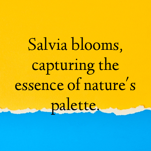 163+ Salvia Captions For Instagram In (2025) 5 Salvia Captions Image For Instagram In (2025)-hc1sSo