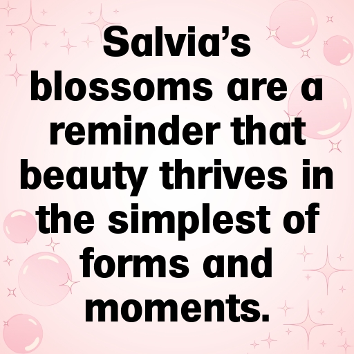 163+ Salvia Captions For Instagram In (2025) 10 Salvia Captions Image For Instagram In (2025)-nV7LLz