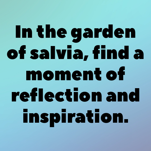 163+ Salvia Captions For Instagram In (2025) 7 Salvia Captions Photo For Instagram In (2025)-oJrfPO