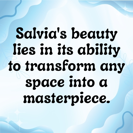 163+ Salvia Captions For Instagram In (2025) 9 Salvia Captions Photo For Instagram In (2025)-Uq301D