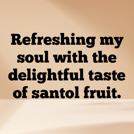 Santol Captions Photo For Instagram In [2025]-DqDidJ