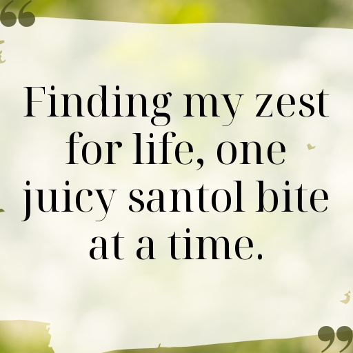 Santol Captions Photo For Instagram In [2025]-Gb5UKS