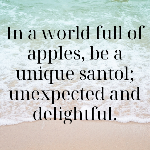 Santol Captions Photo For Instagram In [2025]-n3rwDf