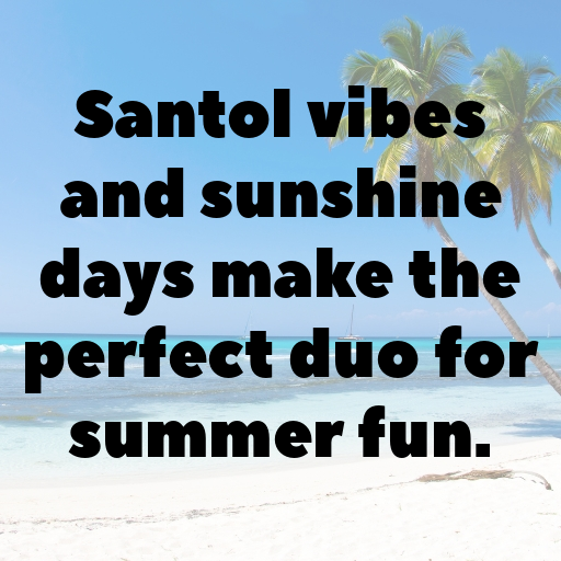 Santol Captions Photo For Instagram In [2025]-YOdfWa