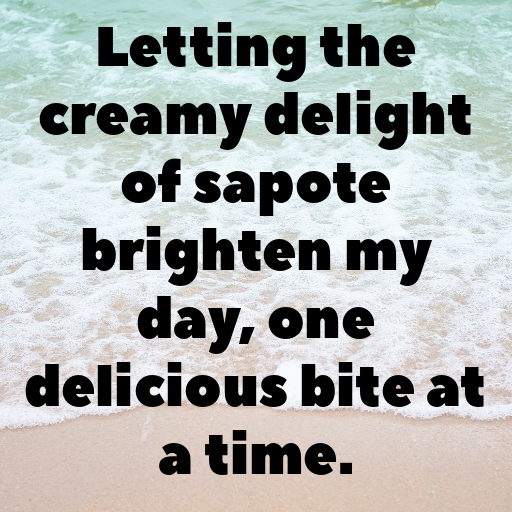 Sapote Captions Image For Instagram In (2025)-2pxGOk