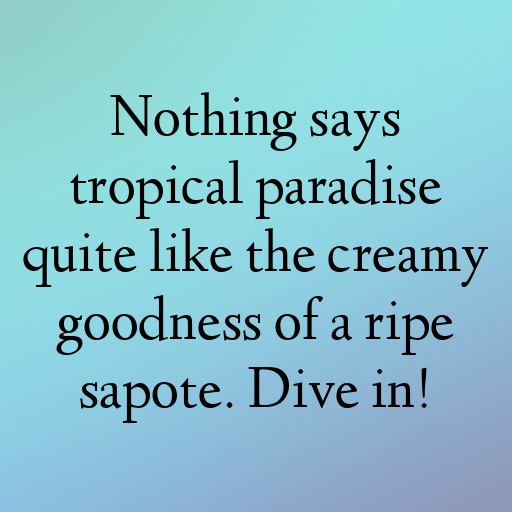 Sapote Captions Image For Instagram In (2025)-L9zvxa