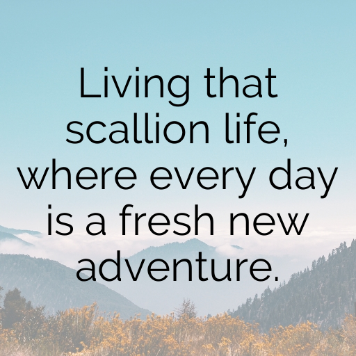 Scallion Captions Image For Instagram In 2025-aDBwQi