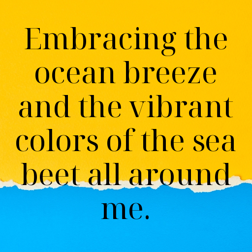 162+ Sea Beet Captions For Instagram In 2025 9 Sea Beet Captions Image For Instagram In 2025-4rYuaQ