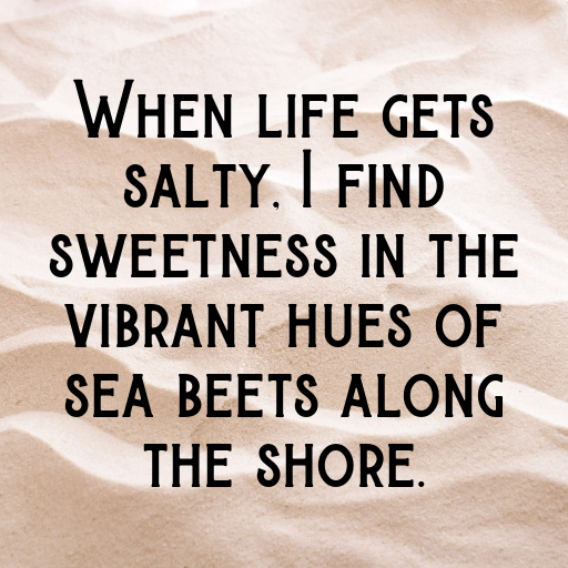 162+ Sea Beet Captions For Instagram In 2025 3 Sea Beet Captions Image For Instagram In 2025-KAeECU