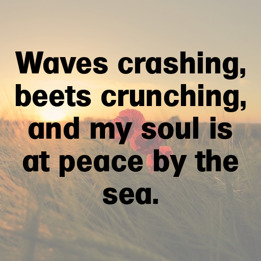 162+ Sea Beet Captions For Instagram In 2025 10 Sea Beet Captions Image For Instagram In 2025-ZU5FvC