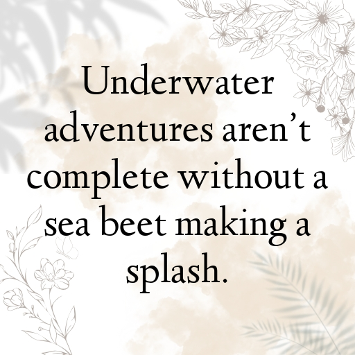 162+ Sea Beet Captions For Instagram In 2025 4 Sea Beet Captions Photo For Instagram In 2025-PypDnH