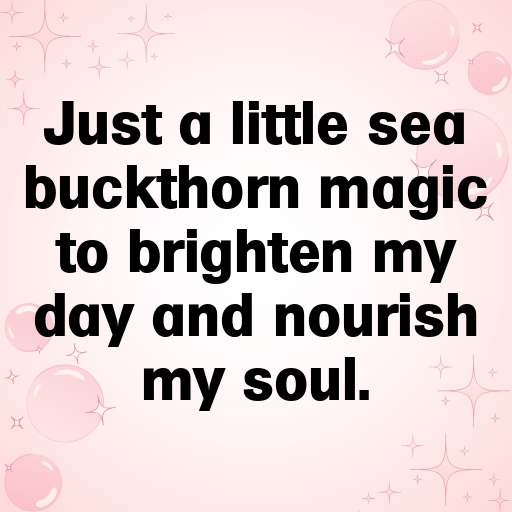 Sea Buckthorn Captions Image For Instagram In 2025-dT6J9f