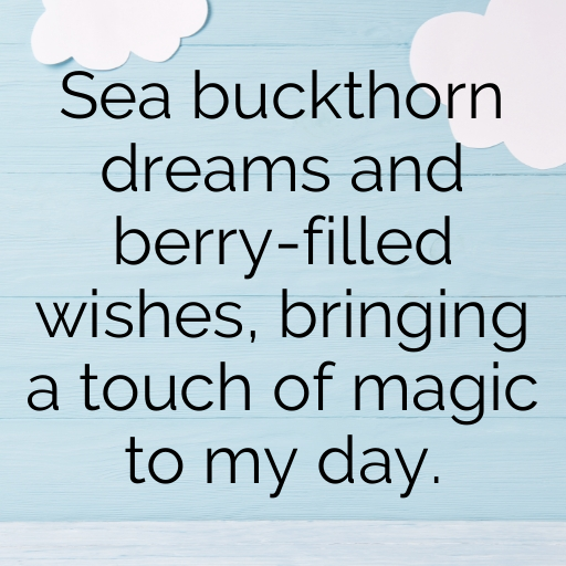 Sea Buckthorn Captions Image For Instagram In 2025-ZB8e6A