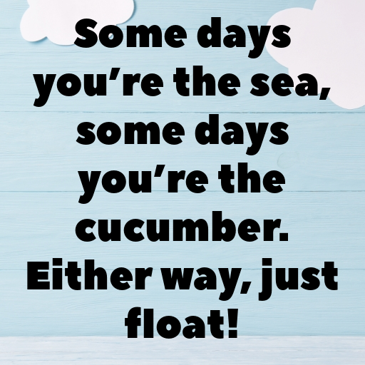 Sea Cucumber Captions Image For Instagram In 2025-Fu6nS4