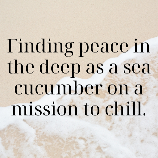 Sea Cucumber Captions Image For Instagram In 2025-TRxetQ