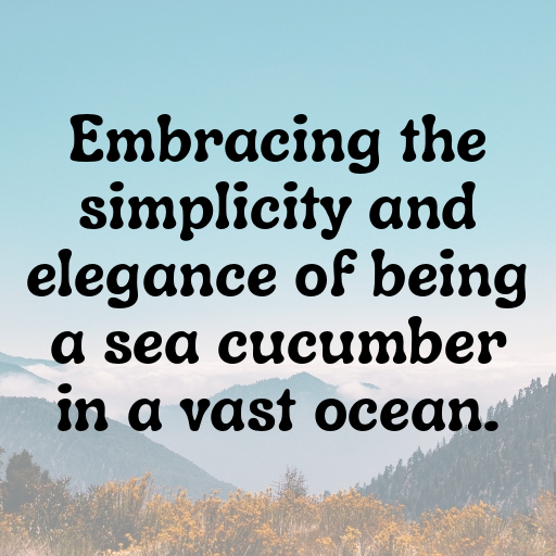 Sea Cucumber Captions Photo For Instagram In 2025-8zLwAM