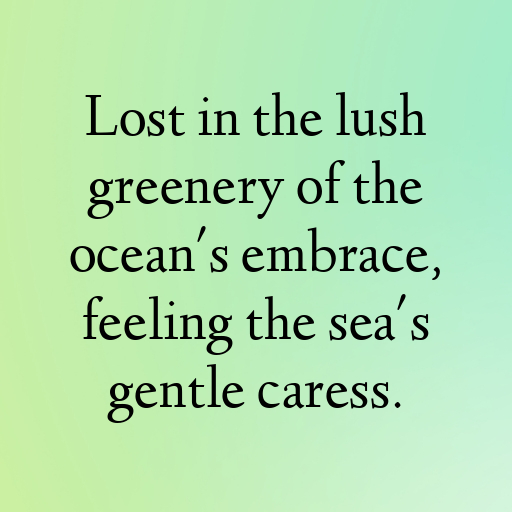 Sea Lettuce Captions Image For Instagram In [2025]-3RBX7v