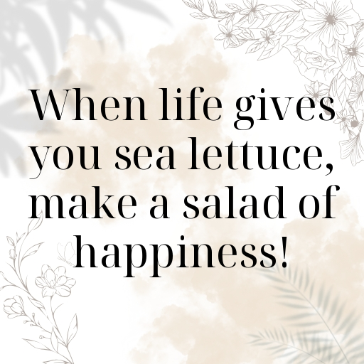 Sea Lettuce Captions Image For Instagram In [2025]-YQzgzM