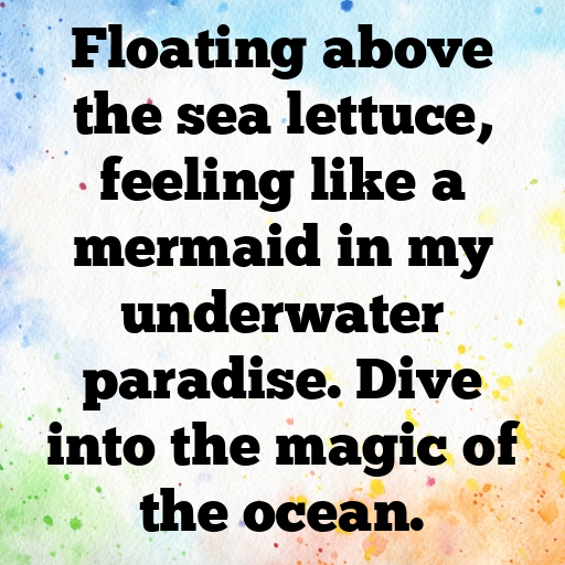 Sea Lettuce Captions Photo For Instagram In [2025]-I1bIVj