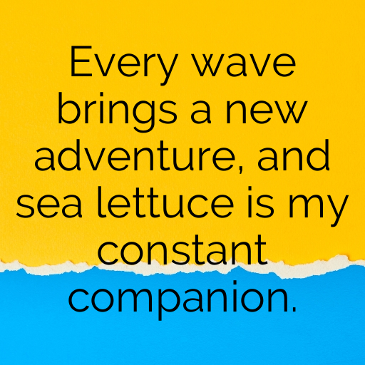 Sea Lettuce Captions Photo For Instagram In [2025]-xV6UqV