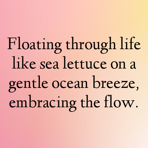 Sea Lettuce Captions Photo For Instagram In [2025]-Y5L7gz