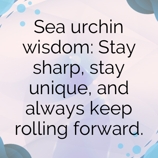 169+ Sea Urchin Captions For Instagram In (2025) 4 Sea Urchin Captions Image For Instagram In (2025)-eshoBa