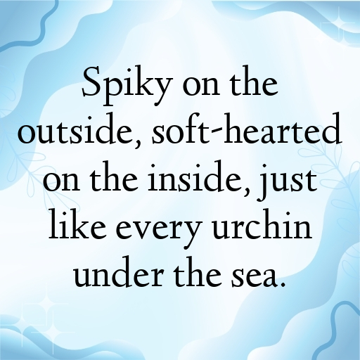 169+ Sea Urchin Captions For Instagram In (2025) 6 Sea Urchin Captions Image For Instagram In (2025)-fwdHLO