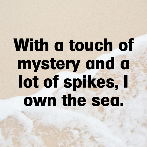 169+ Sea Urchin Captions For Instagram In (2025) 7 Sea Urchin Captions Photo For Instagram In (2025)-PviWMc