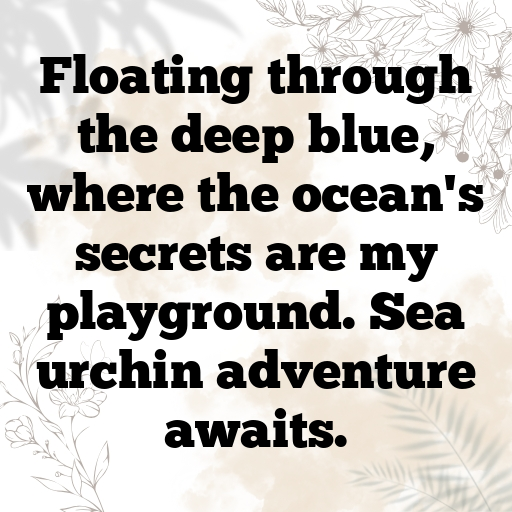 169+ Sea Urchin Captions For Instagram In (2025) 8 Sea Urchin Captions Photo For Instagram In (2025)-tJKXeJ