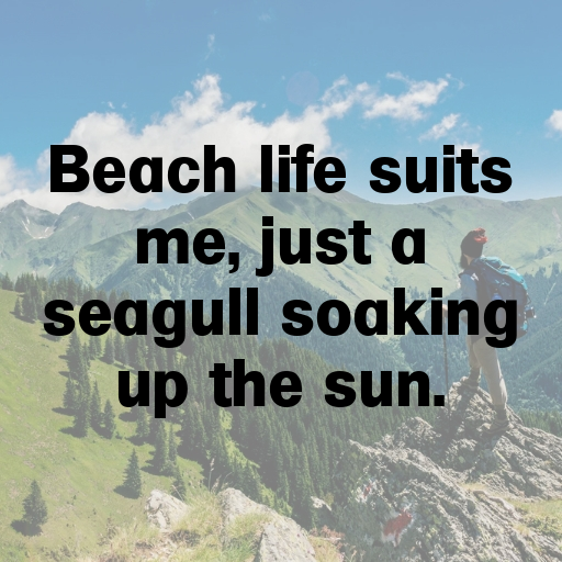 Seagull Captions Image For Instagram In (2025)-n3k9Ax