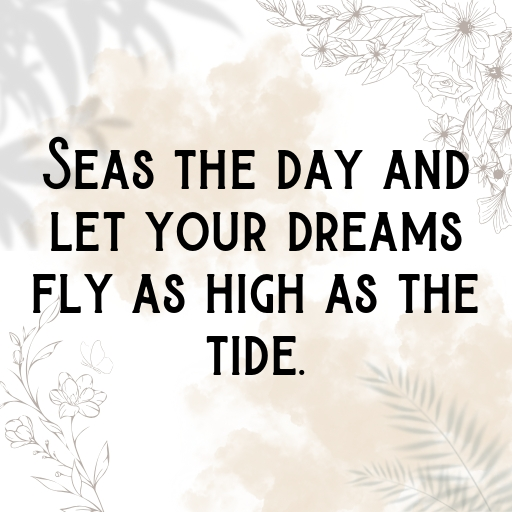 Seagull Captions Image For Instagram In (2025)-qUlIQj