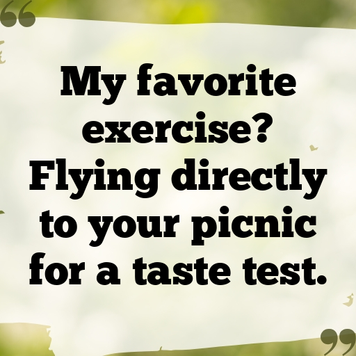 Seagull Captions Image For Instagram In (2025)-UusgED