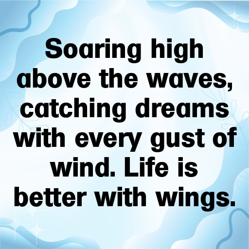 Seagull Captions Photo For Instagram In (2025)-YlVaD2