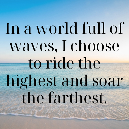 Seagull Captions Photo For Instagram In (2025)-ZVBHoM